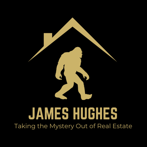 No Mystery Real Estate Logo